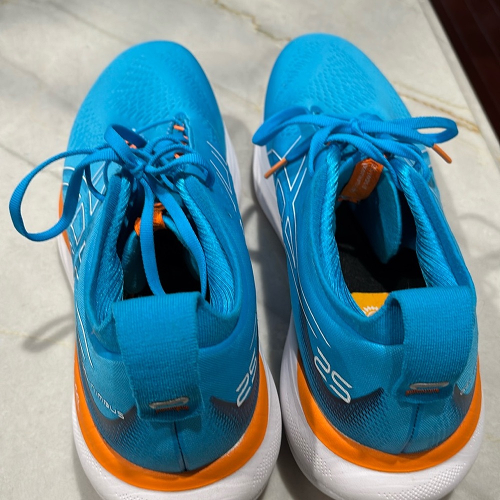 Cool Blue Asics Gel- Nimbus 25.